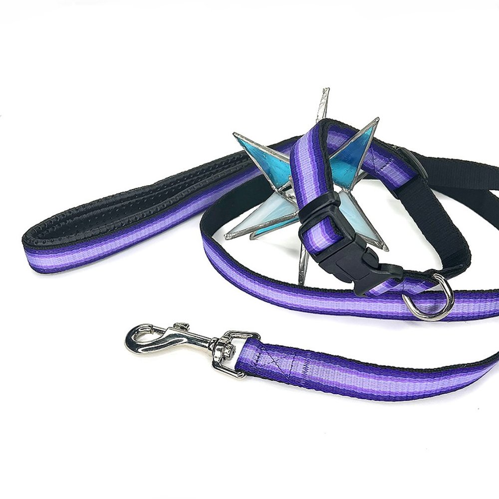 Purple & Lavender Nylon/Cotton Collar & Leash Set